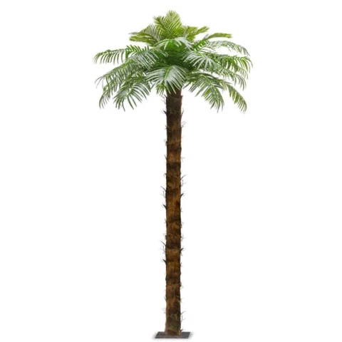 Пальма Арека 550 см