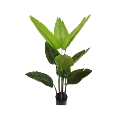 Стрелиция 120 см