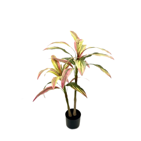 Кортадерия 75 см