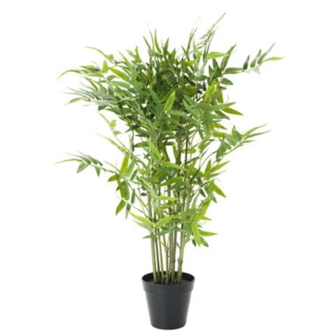 Бамбук 100 см