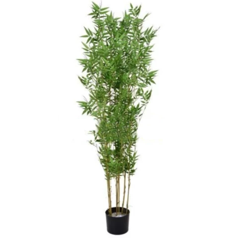 Бамбук 140 см