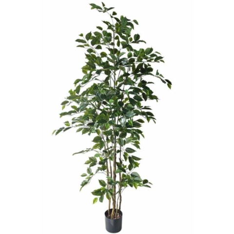 Фикус Бенджамина Real Touch 180 см