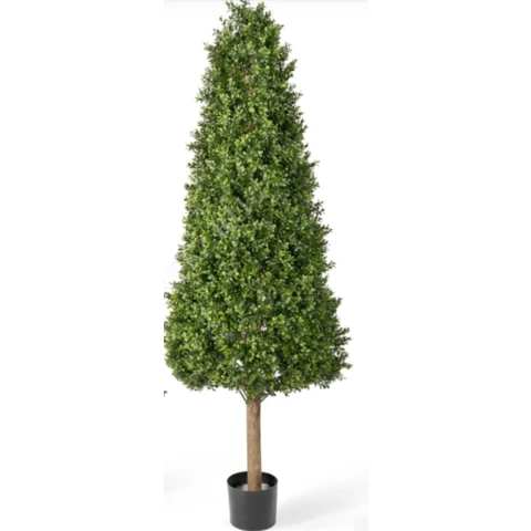 Самшит Тауэр 170 см