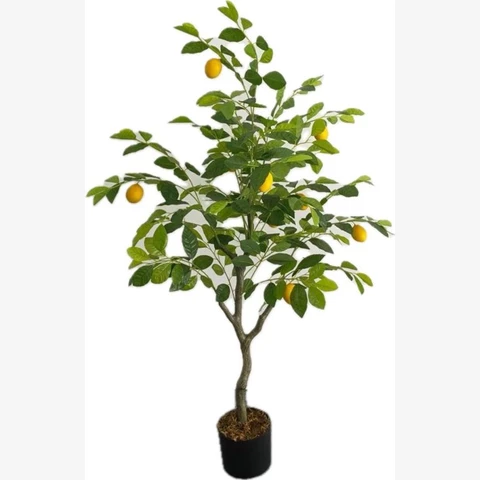 Лимон 120 см