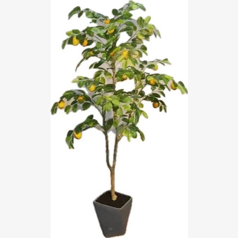 Лимон 150 см