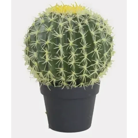 Кактус шар 40 см