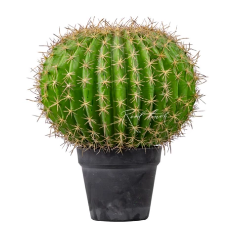 Кактус Большой 45 см