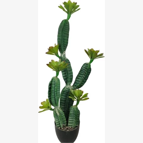 Кактус 90 см
