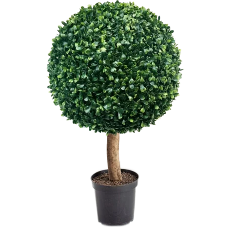 Шар самшита на натуральном стволе 80 см