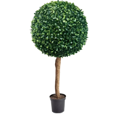 Шар самшита на натуральном стволе 170 см