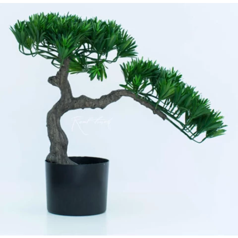 Бонсай сосна 45 см