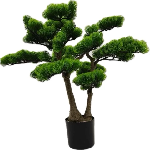 Бонсай сосна 60 см