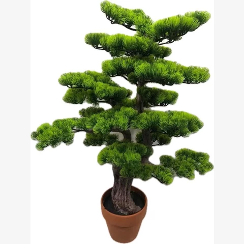 Бонсай сосна 90 см