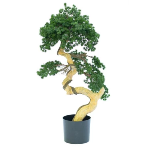 Бонсай мелкоигольчатый 93 см