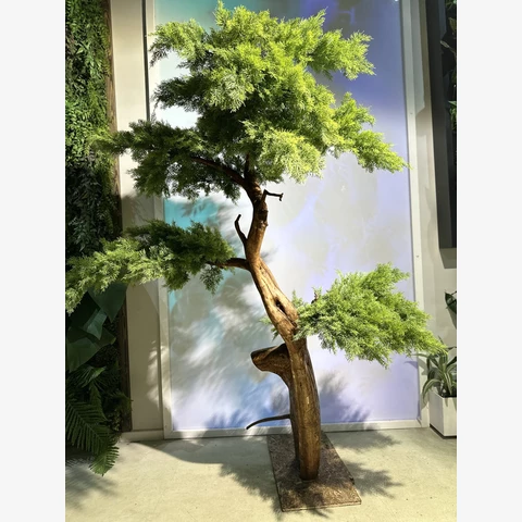 Бонсай Кипарис 320 см