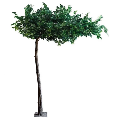 Бонсай лиственный 400 см