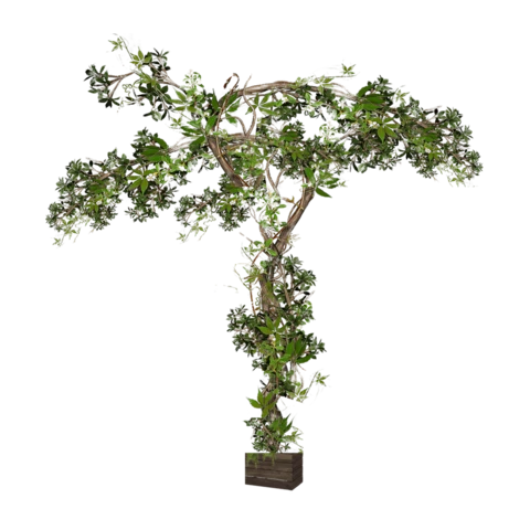 Дерево лиана с искусственными листьями В 300 см Ш 250 см