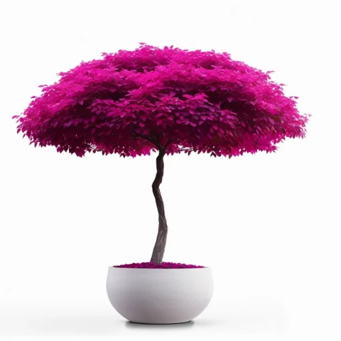 Аспарагус дерево дизайнерское 170 см