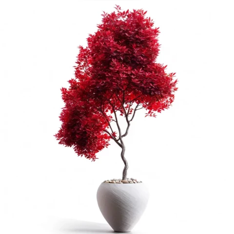 Рускус дерево дизайнерское 180 см