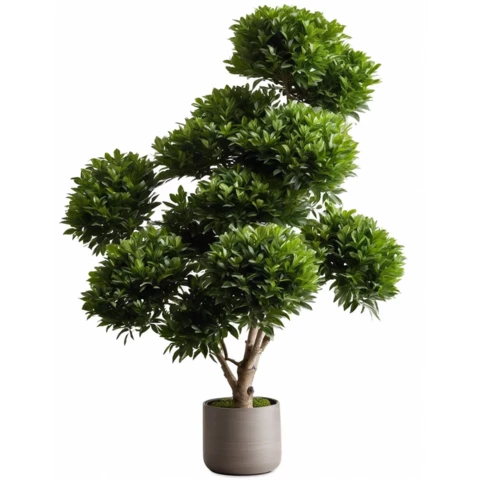 Самшит дерево дизайнерское 210 см