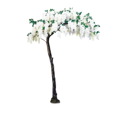 Глициния Бонсай 300 см