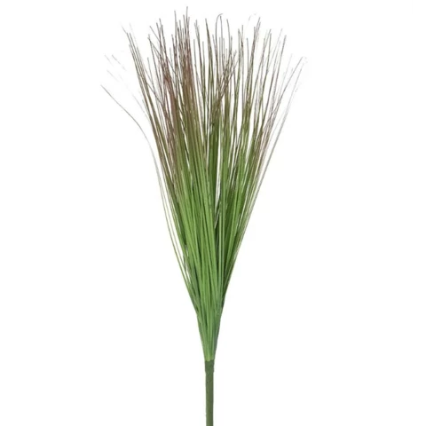 Осока 70 см