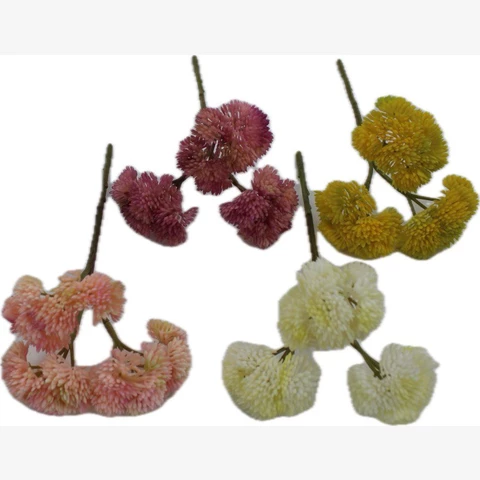 Суккулент 15 см