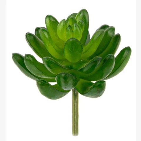 Суккулент зеленый, В 8 см
 Ш 5 см