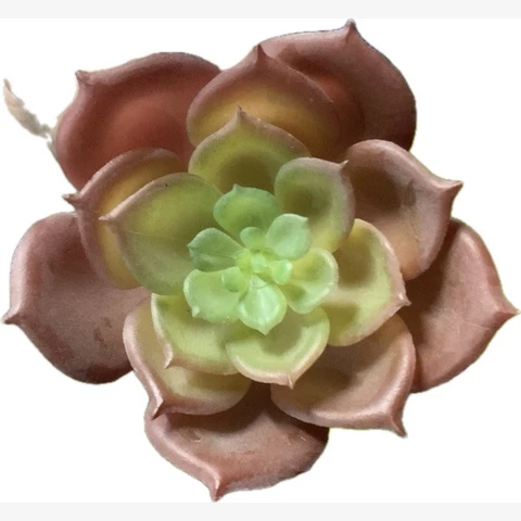 Суккулент, В 8 см
 Ш 5 см