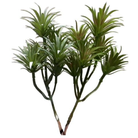 Суккулент Тиллансия, В 17 см