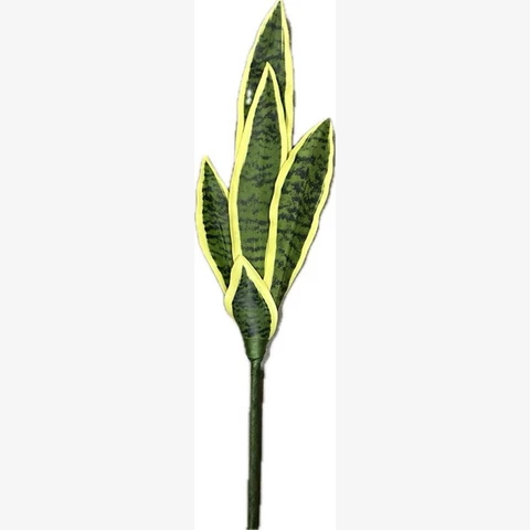 Сансевиерия Лауретти 65 см