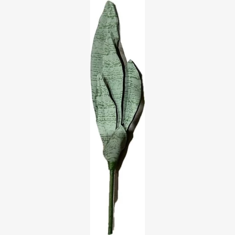 Сансевиерия Зейлайника 65 см