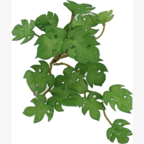 Филодендрон микро 7 см