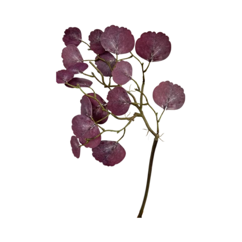 Эвкалипт бордо 35 см