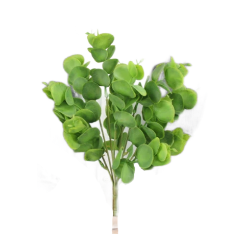 Эвкалипт мини 35 см