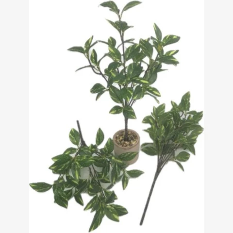 Плектрантус 46 см