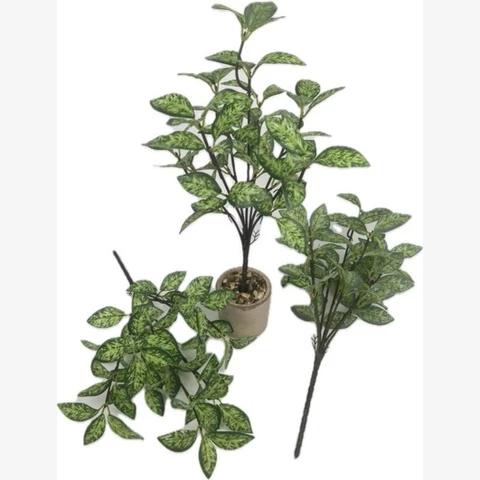 Фиттония 46 см