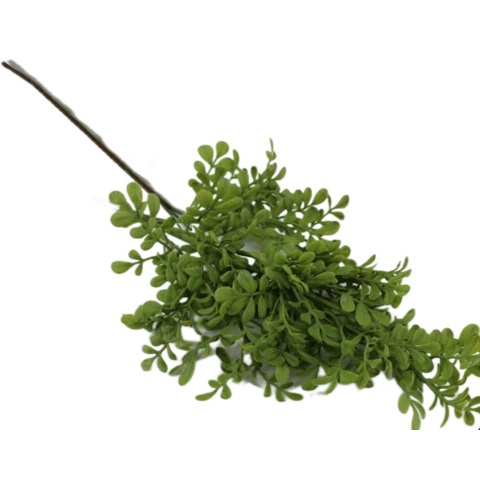 Самшит 55 см