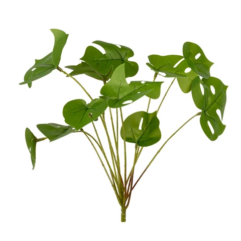 Монстера мини 25 см