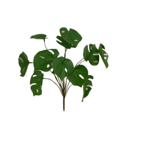 Монстера 25 см