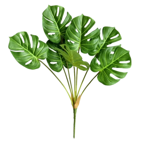 Монстера 65 см