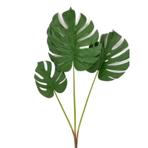 Монстера 90 см