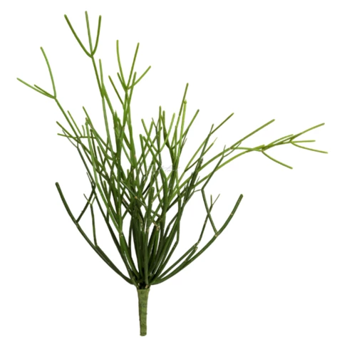 Рипсалис\ S 40 см