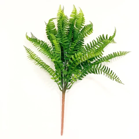 Папоротник Нефролепис 40 см