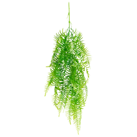 Папоротник куст 90 см