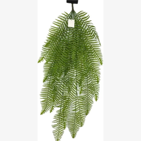 Папоротник куст большой 100 см