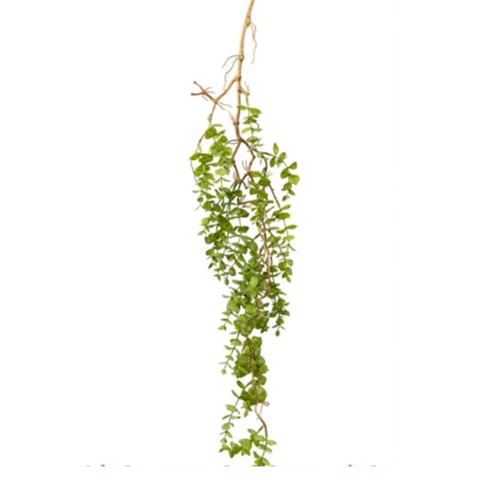 Эвкалипт на древесной ните 70 см