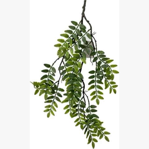 Акация на древесной ните 70 см