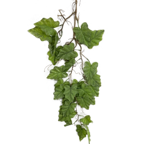 Алоказия на древесной ните 70 см