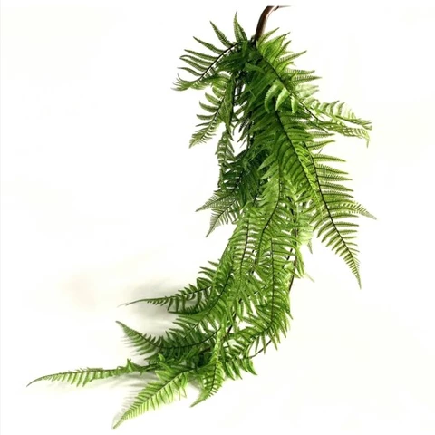 Папоротник щитовник 90 см